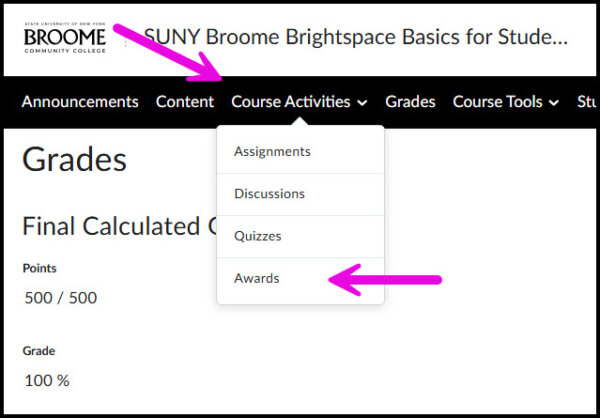 Arrows pointing to Course Activites on the NavBar and the Awards option.