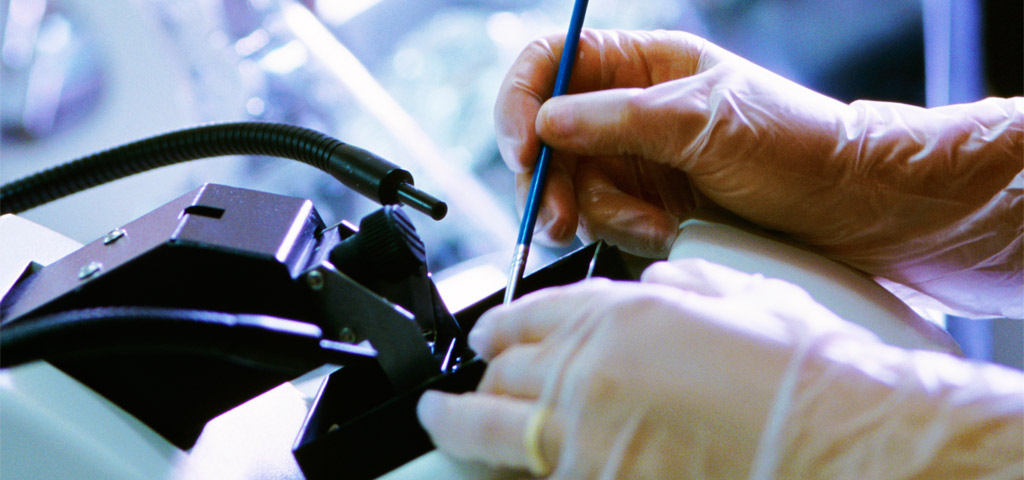 program-banner_histological-technician Histological Technician