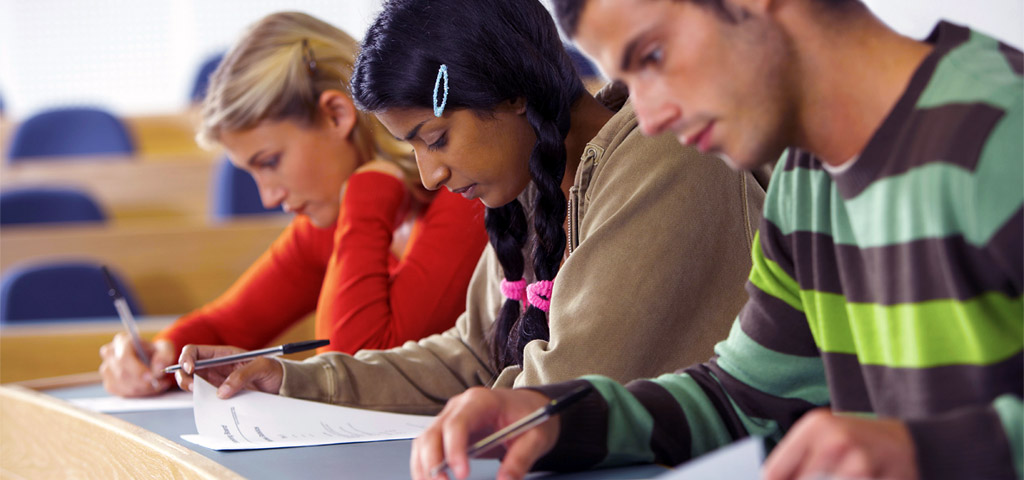 program-banner_individual-studies Individual Studies
