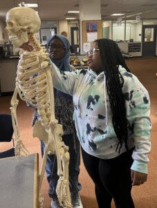 nephtalie and bones photo
