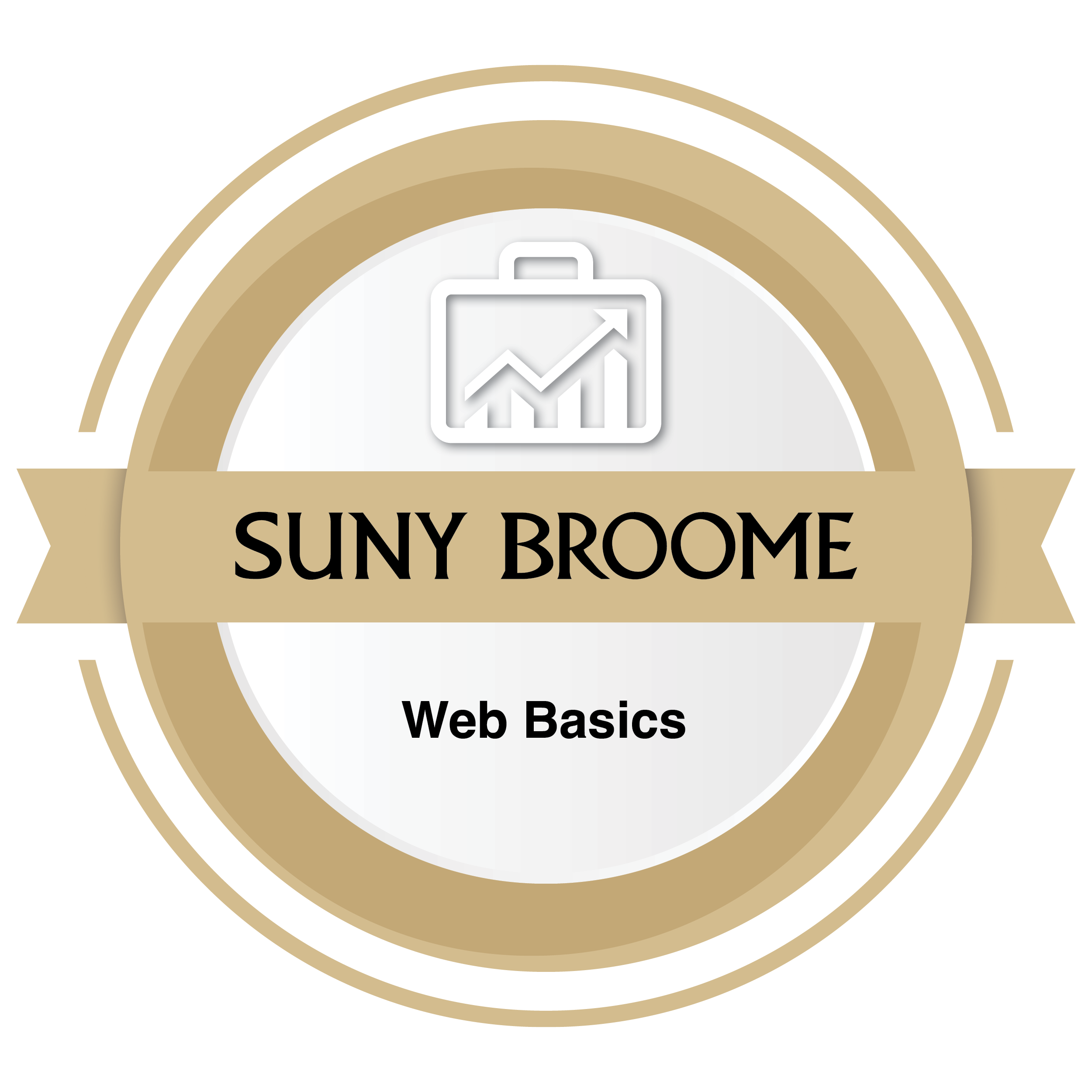 Web Basics*