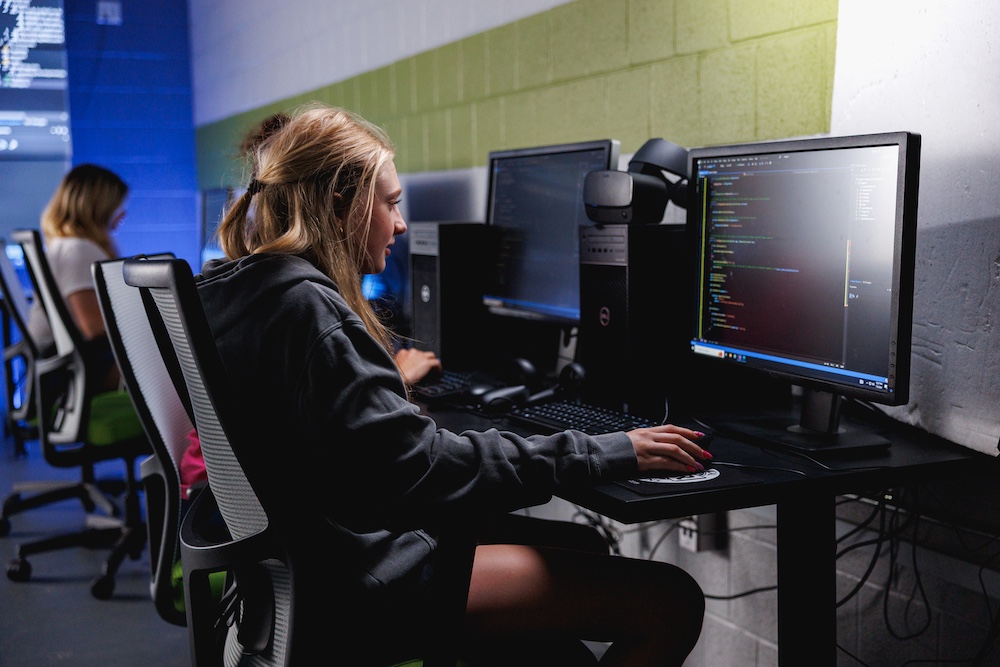 Business & Professional Studies